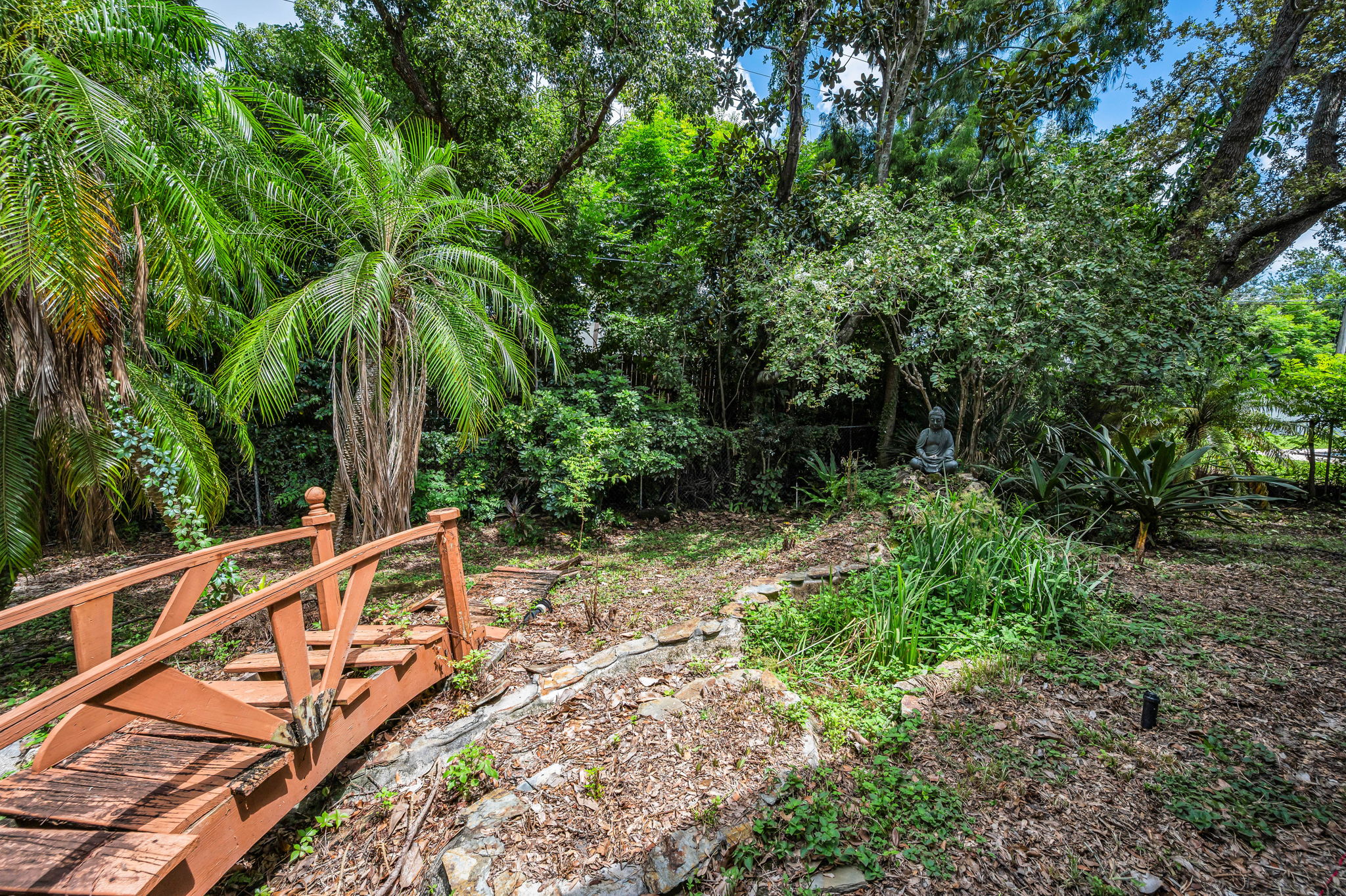 Backyard6
