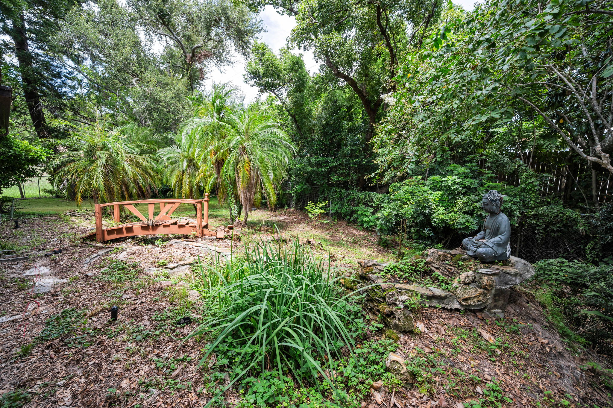 Backyard7