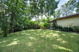 Backyard1
