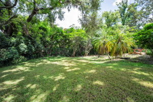 Backyard2