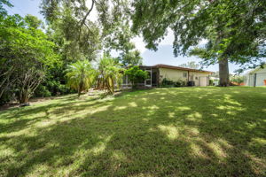 Backyard3