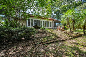 Backyard5