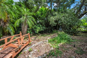 Backyard6