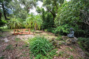 Backyard7