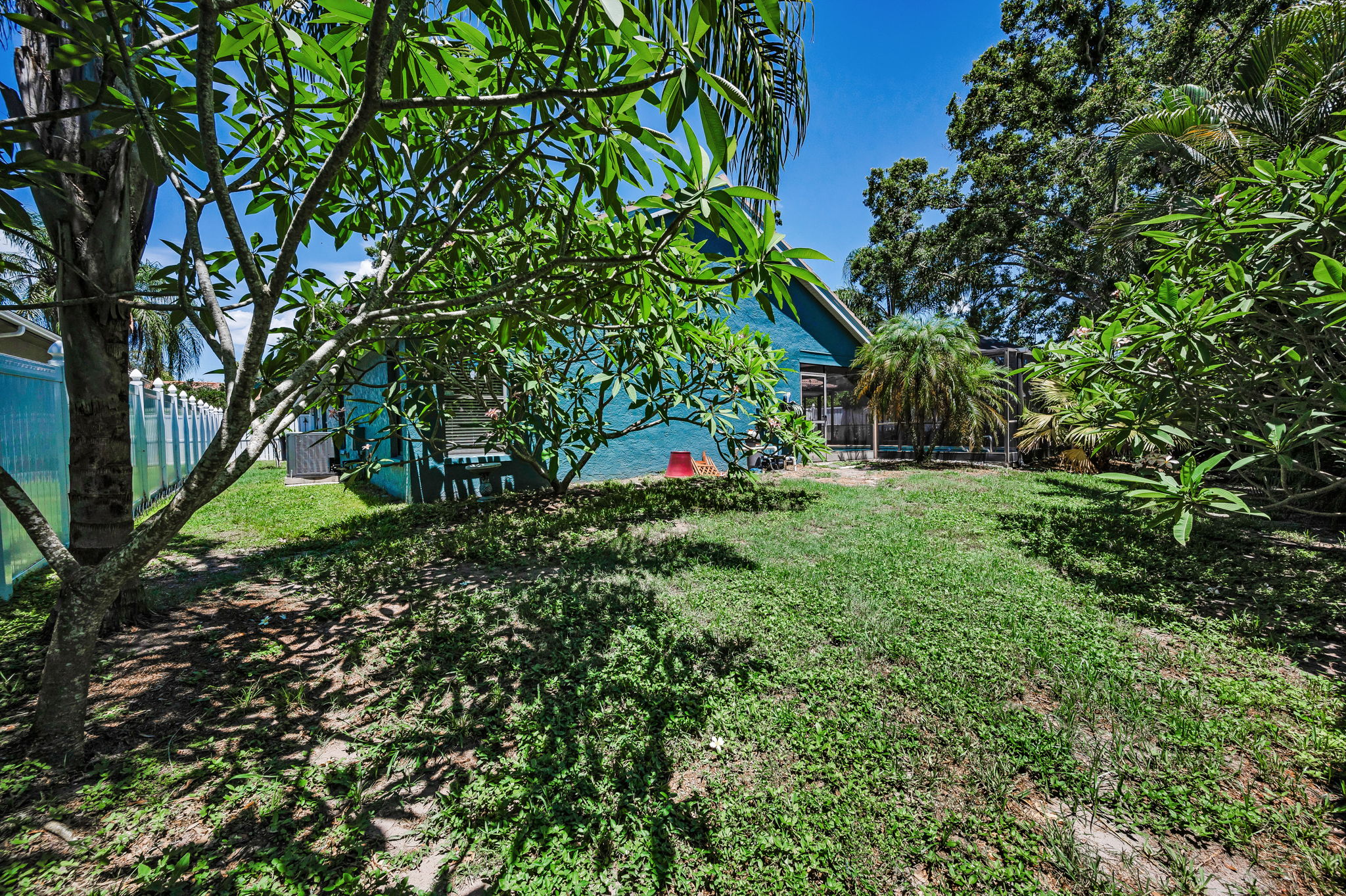 Backyard2