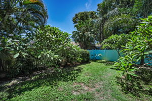 Backyard1