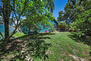 Backyard2
