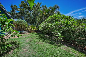 Backyard3