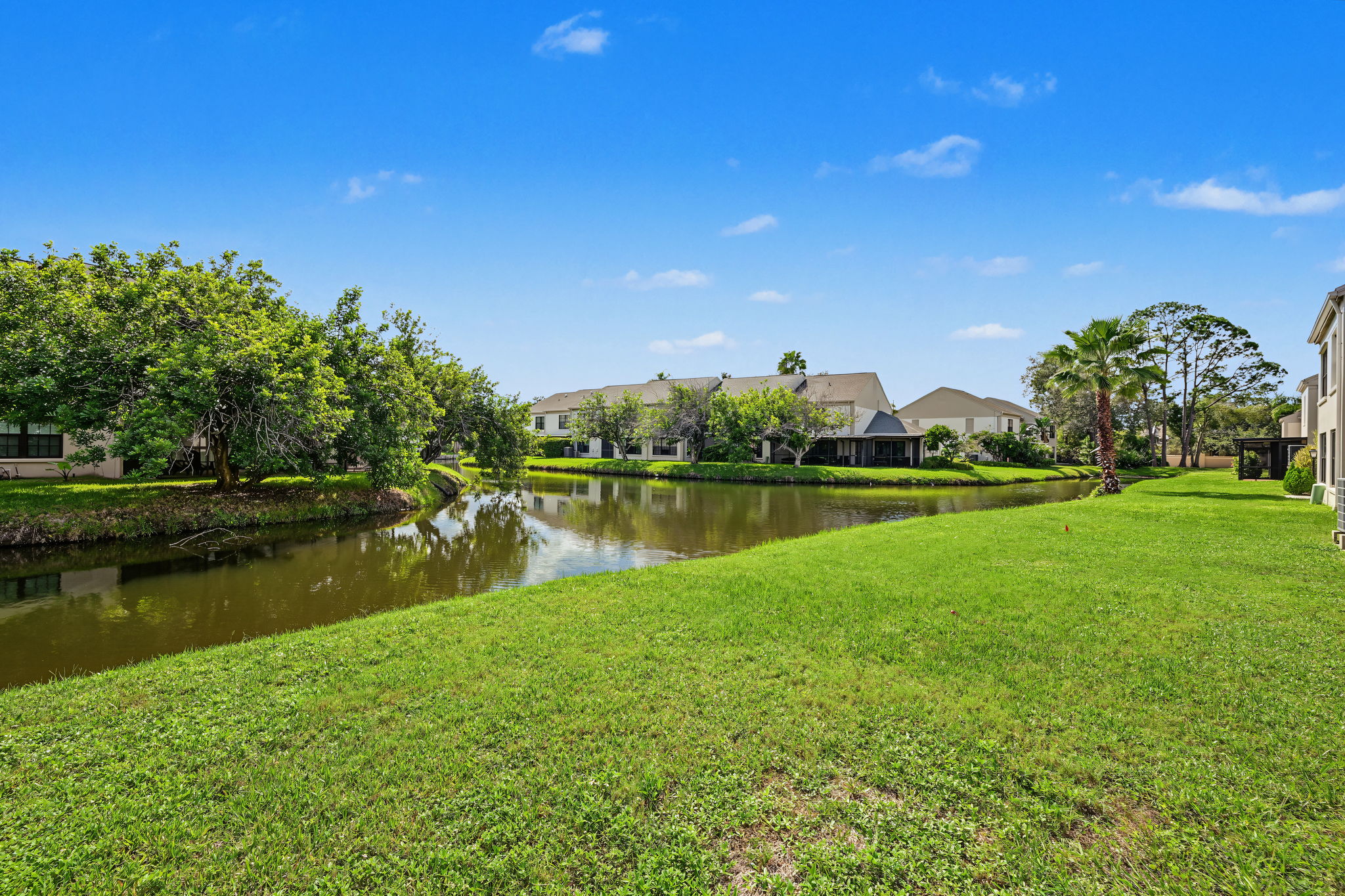 Backyard5