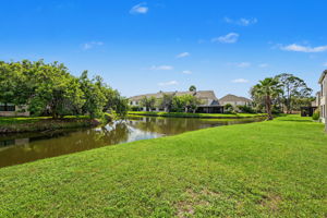 Backyard5