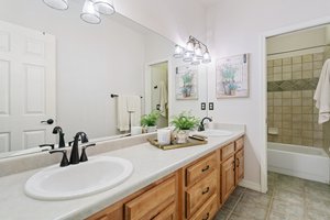 Lower Level Bathroom