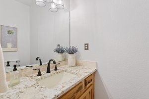 Lower Level Bathroom