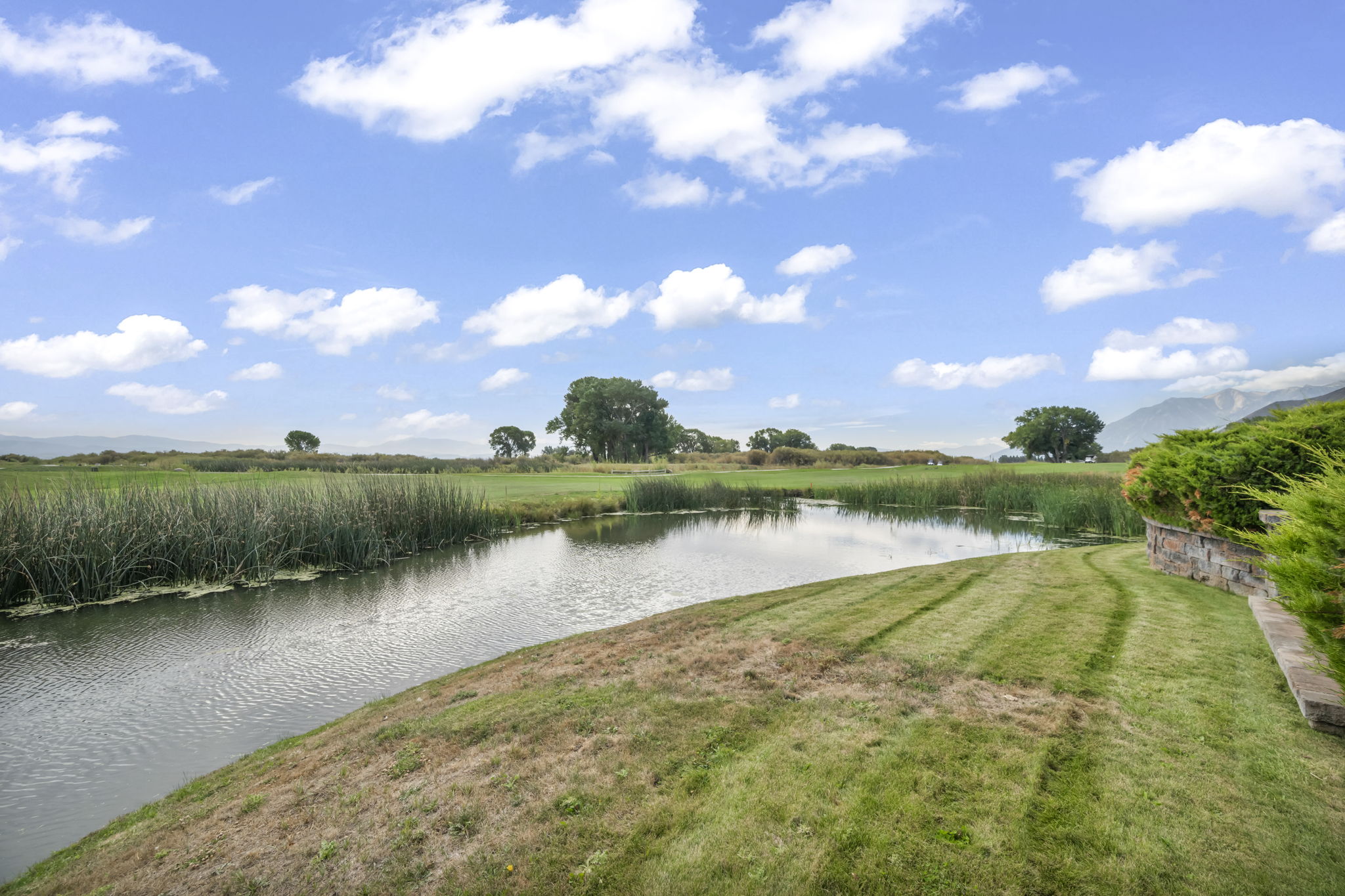  Photo 48