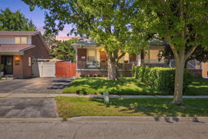  Photo 0