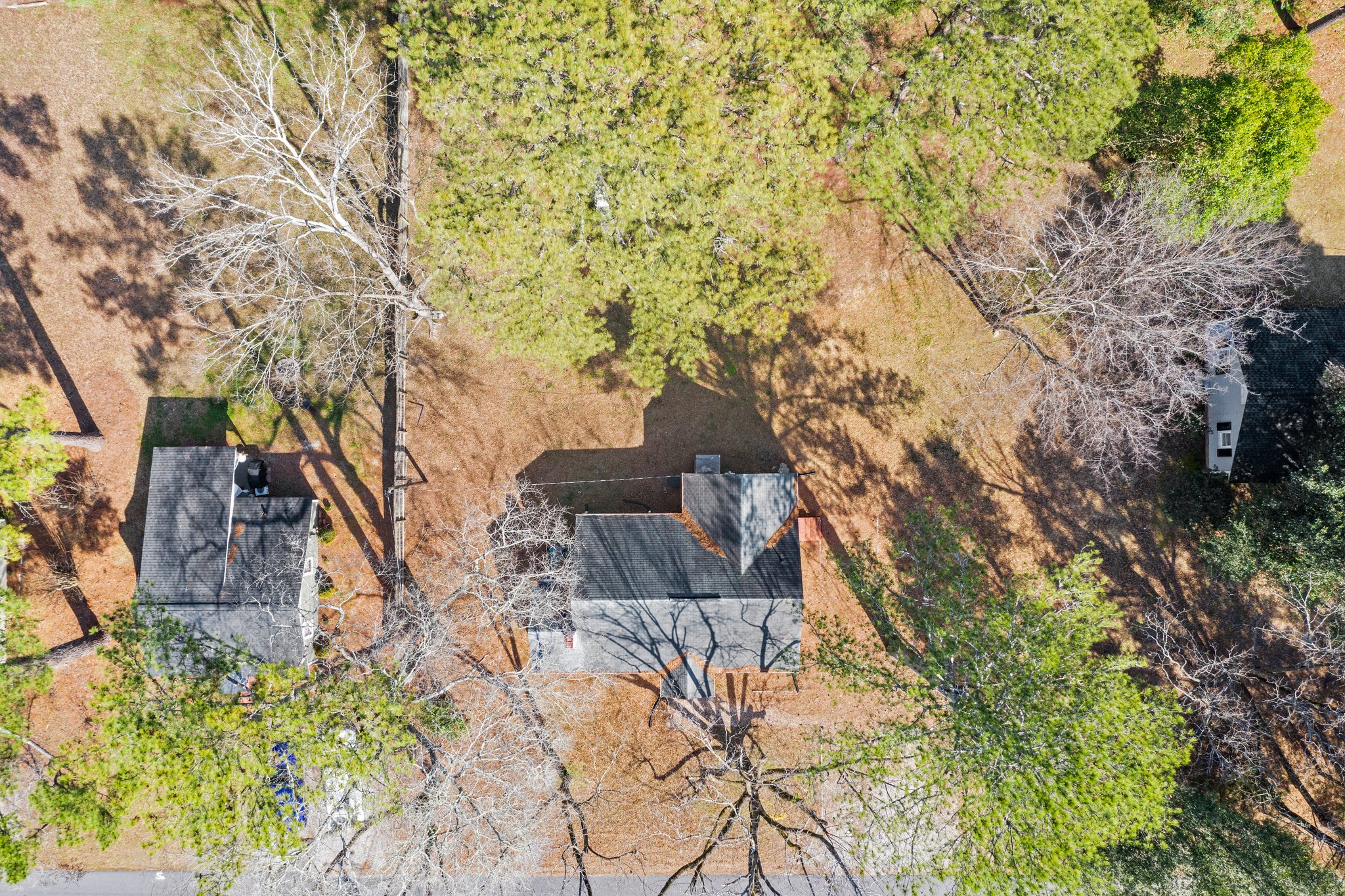247 Mae Byrd Rd, Lillington, NC 27546, USA Photo 9