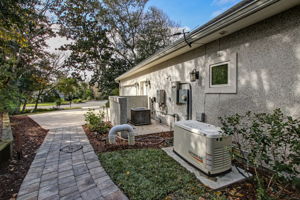 Side Yard