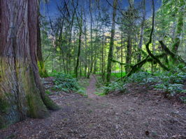  Photo 46