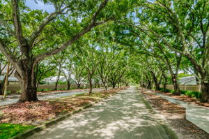 2-Bentley Park Entrance