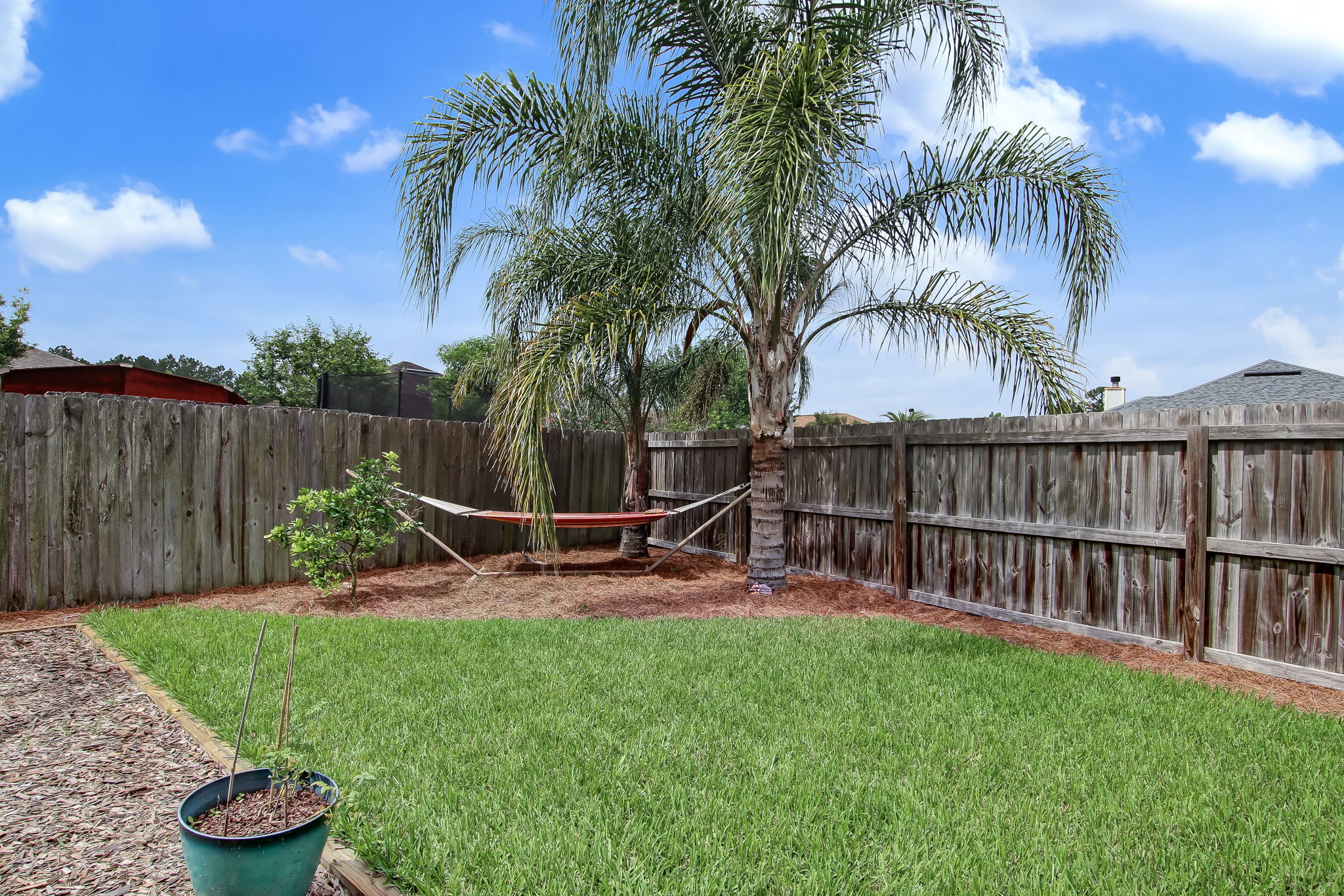 Backyard