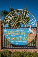 Dunedin Causeway21