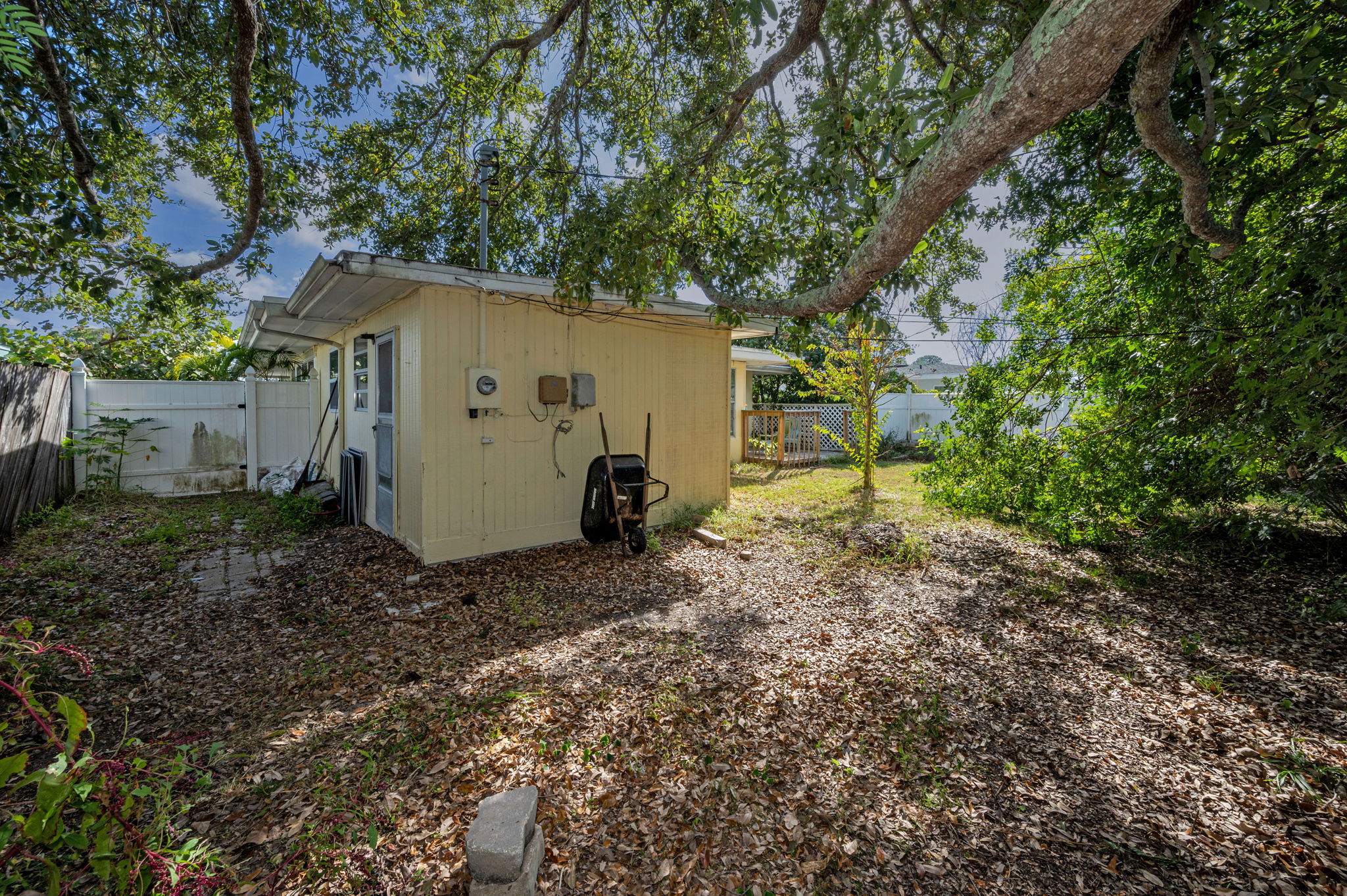 Backyard4