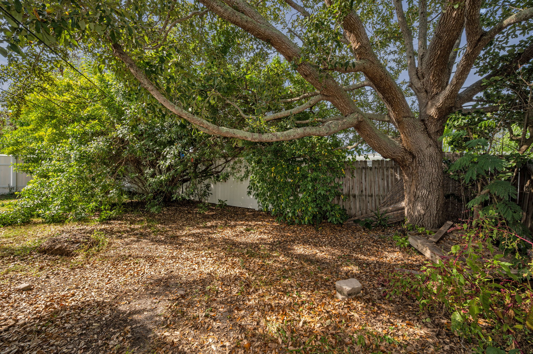 Backyard5