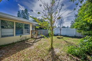 Backyard3