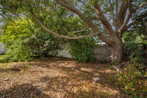Backyard5