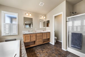 Primary Bathroom (2)