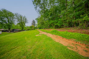 K.K. - 248 Crowley Dr, Roseville-62