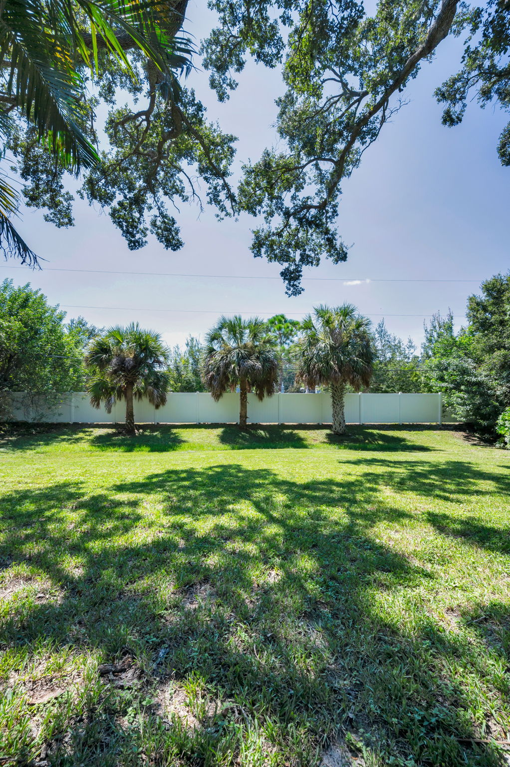 Backyard7