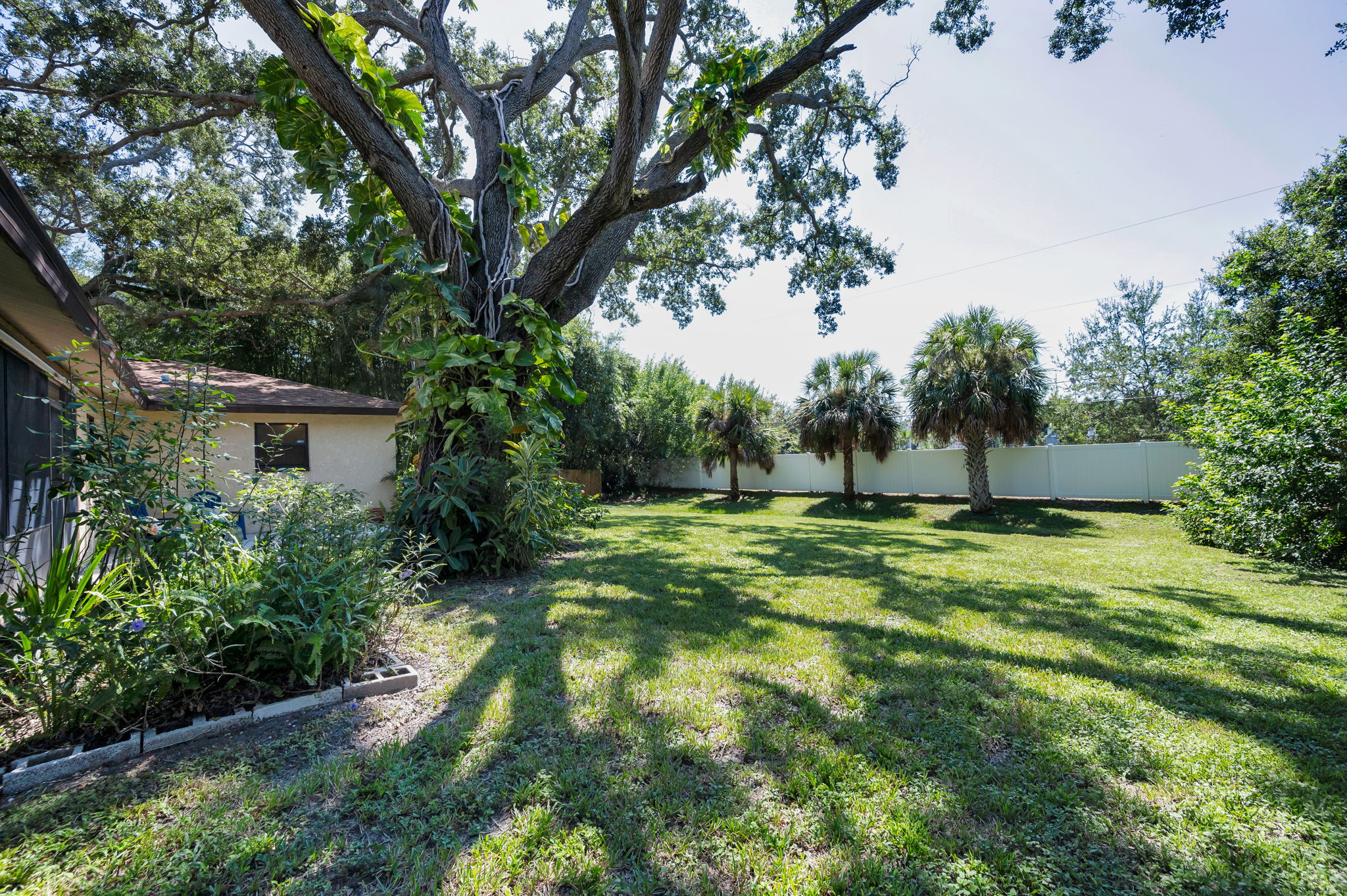 Backyard8
