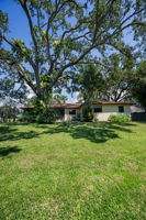 Backyard4