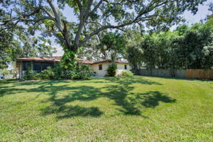 Backyard5