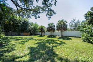 Backyard6