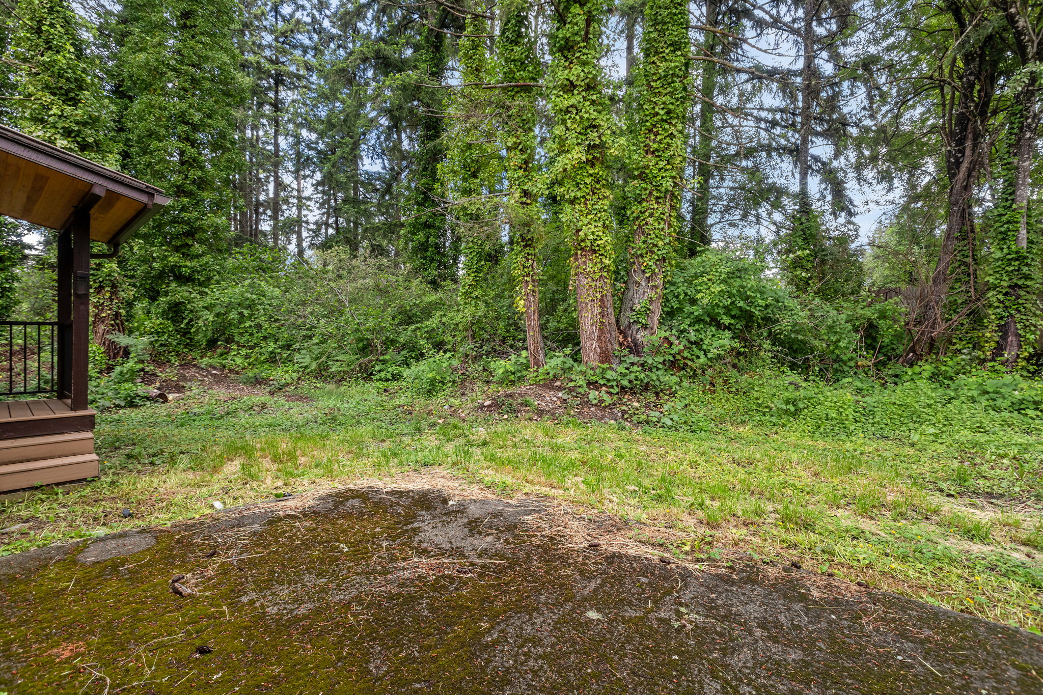  Photo 31