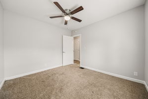 Photo 38