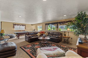 Lower Level Family Room