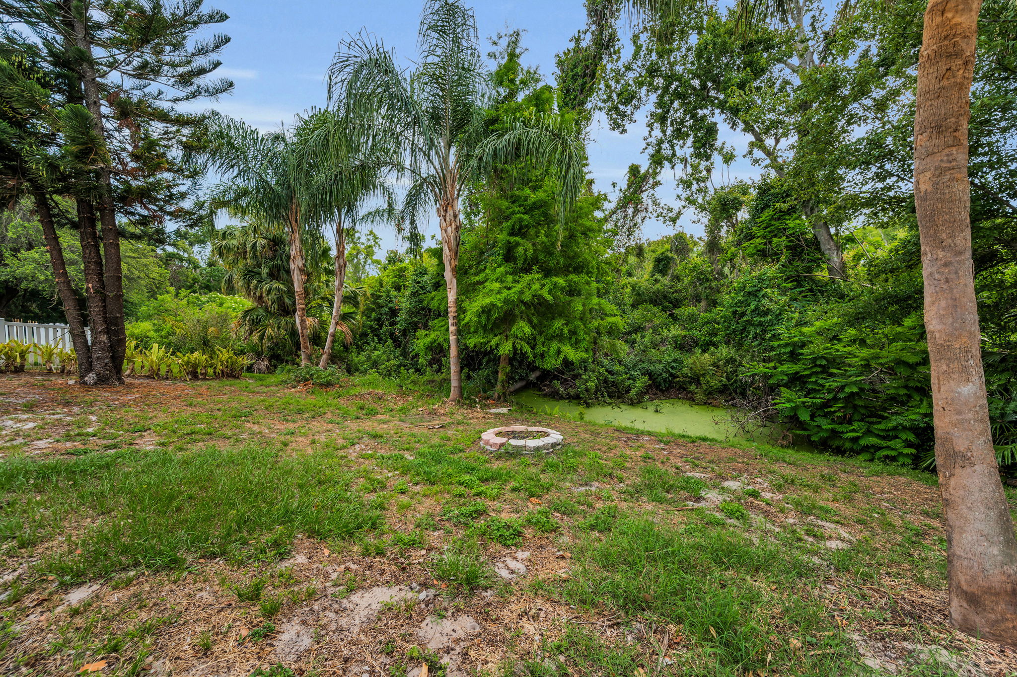 Backyard3