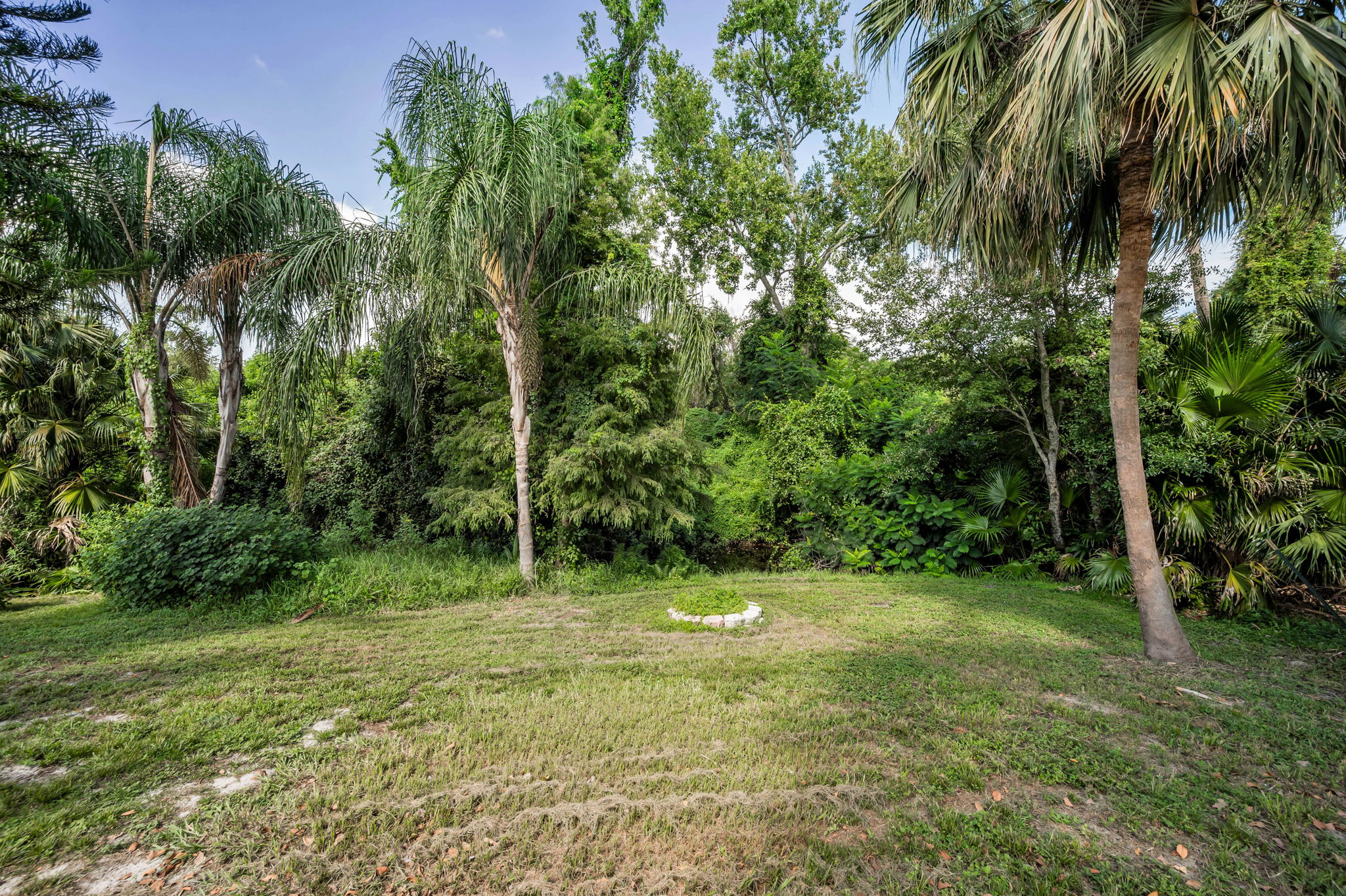 Backyard22