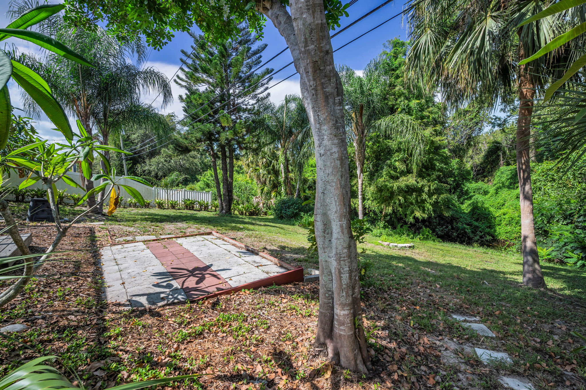 Backyard25