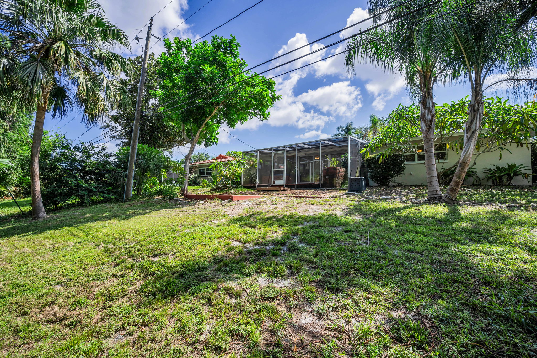 Backyard31