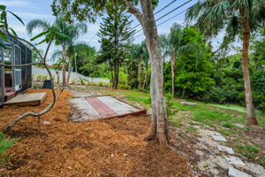 Backyard2