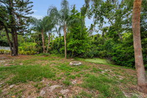 Backyard3
