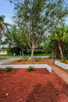 Frontyard