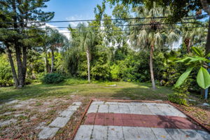 Backyard20
