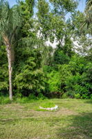 Backyard21