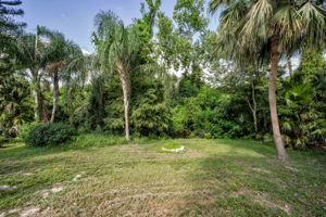 Backyard22