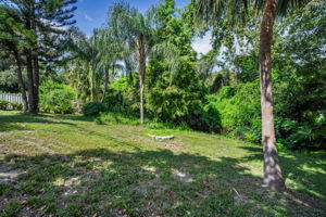 Backyard26