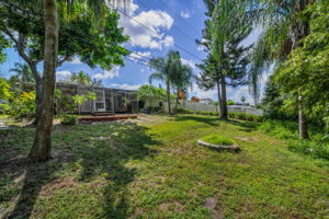 Backyard30